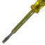 Flat Blade Screwdriver